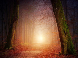 999 MYTHISCHE LIEBES-ENERGIE AVALON