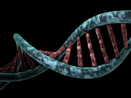 INITIATION/COACHING: AVATAR 999 - 13-STRANG - DNS/DNA - Aktivierung - Ferneinweihung!