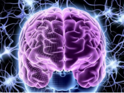 MEISTER DES GEHIRNS ERMÄCHTIGUNG (Erweckung des Genies in dir) - Ferneinweihung