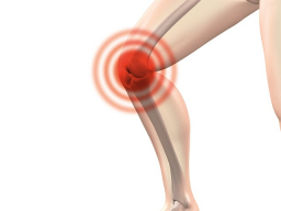 FERNEINWEIHUNG: Der Energiecocktail - glückliche Gelenkknorpel