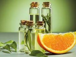 Urdüfte Ermächtigungen - Primal Scents (Heilung mit Düften)