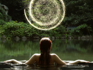 Transzendente Wächtereinstimmung (Archontenschutz)