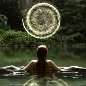 Transzendente Wächtereinstimmung (Archontenschutz)