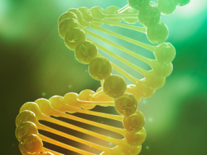 AKTIVIERUNGS-RITUS DER 12 DNA-STRÄNGE - Richte dein Wesen auf die Multidimensionalität aus