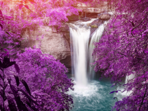 HEILENDE ZELLHARMONIE EINSTIMMUNG (Verjüngung/Erneuerung)