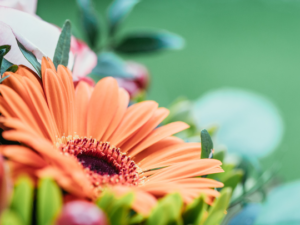 KLEINER SCHÖNHEITSRITUS