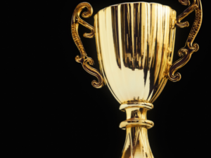 ERFOLG - IN ALLEN BELANGEN