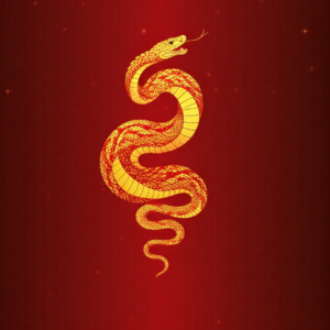 KUNDALINI ERWACHEN