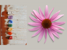 Die Universelle Heilkraft - Der Innere Heiler