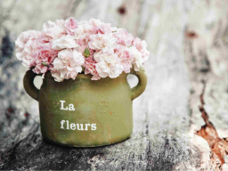 JIN SHIN FLUSS - JIN SHIN FLOW - Ferneinweihung!