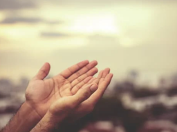 Hand Care - Hand Fürsorge - Schöne Hände