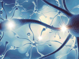 Parasympathikus - Sympathikus - für das Nervensystem