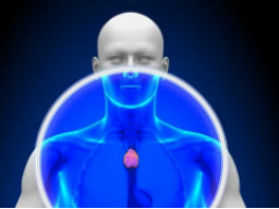 Coaching/Ausbildung: THYMUS CHAKRA GEIST SPÜLUNG UND REINIGUNG - Ferneinweihung
