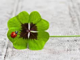 Coaching/Ausbildung: VIP Success and Luck - VIP- ERFOLGS - und GLÜCKSEINWEIHUNG - Ferneinweihung!