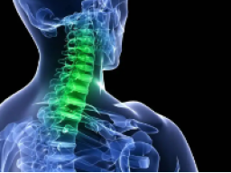 Emotionale Heilung Halswirbelsäule- Nackenschmerzen