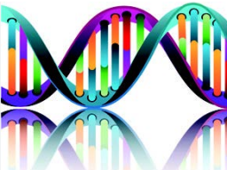36 Strang DNA Aktivierung