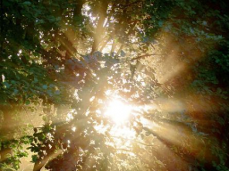 DARK FORCE BREAKER - DER MAGISCHE DUNKLE MÄCHTE EINFLUSS-VERNICHTER