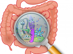 COLON CARE (Darmgesundheit)