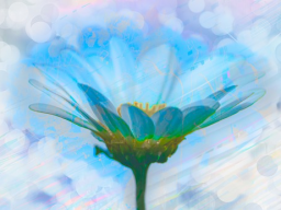 MAGICAL BLESSING POWER (Segen für DEIN Leben)