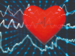 Emotionale Heilung Vorhofflimmern (Herzrhythmusstörungen)