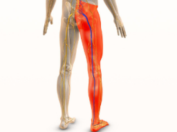 Emotionale Heilung Ischias