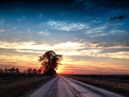 My Way Home™" (Sehnsucht stillen nach der wahren Heimat)