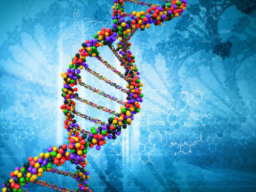 24 Strang DNA Aktivierung