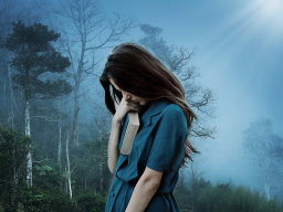 DEPRESSION ECLIPSE - DEPRESSION EKLIPSE - Heilung depressiver Episoden