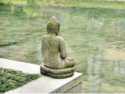 Fern-Begleitung: MONATLICHES AUFSTIEGS-CLEARING über 1 Jahr hinweg