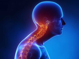 Emotionale Heilung Kyphose (Rundrücken/Buckel)