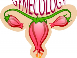 Goldene Uterus - Ovarien Wiederverbindung Ermächtigung und Heilung TM