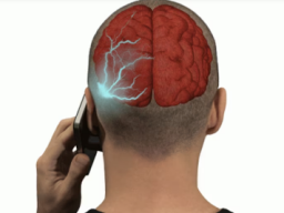 PROTECTRONIX ENERGIE SCHILD (Abwehrung EMF-Strahlungen)