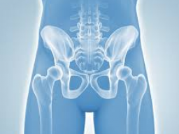 Pelvic Basket Shakti Set (Becken & Hüfte stärken)