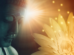 Das Hyperdimensional Ascendant Protocol (Unvergleichlicher spiritueller Aufstieg/Fortgeschrittene Toröffnungen)