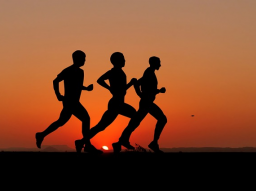 ENERGETISCHER KÖRPER von BIMA - Ausdauer/Kraft