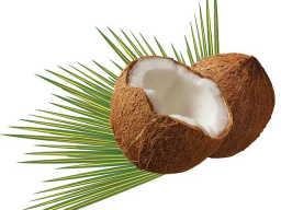 CARIBBEAN COCONUT ENERGY