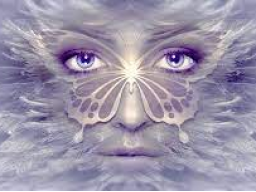 Botschafter der Höheren Lichtkräfte Reiki - Ambassador of the Higher Forces of Light Reiki (Schwingungserhöhung)