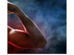 Aggressive Heilige Körperernährung (Muskelaufbau/Leistung)