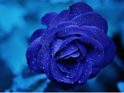 Schönheits- & Heil-Java: CAHYA AYU KASAMPURNAN