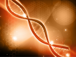 LICHT GOTTES-ICH BIN DAS ICH BIN (Göttliche DNA)