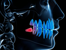 Gretas Elixiere - Zähneknirschen-Heilungs- Elixier