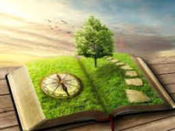 MANIFESTATIONS-COACHING-PAKET - 12 Energien/Coachings - für gezieltes Manifestieren & Visionen realisieren! MEGA STARK!