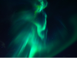 Green Light Empowerment - Heilung/Reinigung