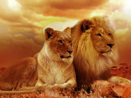 PUSAKA JAYA KAWIJAYAN - Vermächtnis des Siegreichen