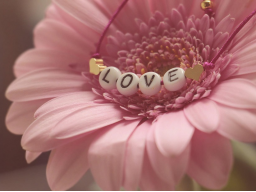 BUWANA KASIH - " WELT DER LIEBE "