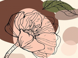 Vorsorge- & Fürsorge Paket: Seele, Rücken, Darm, Zähne, Haut, Herze, Nerven, Lymphe, Trauma & Nieren!