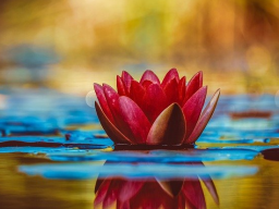 DIVINE FACIAL TOUCH - ENERGETIKER(IN) Schönheit pur