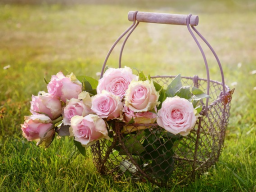 Schönheitspflege (innen & außen)