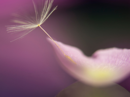 MYSTICA MAGICA - antik & tiefgründig