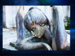 TRAUER HEILENDE SPÜLUNG (emotionales Heilsystem)